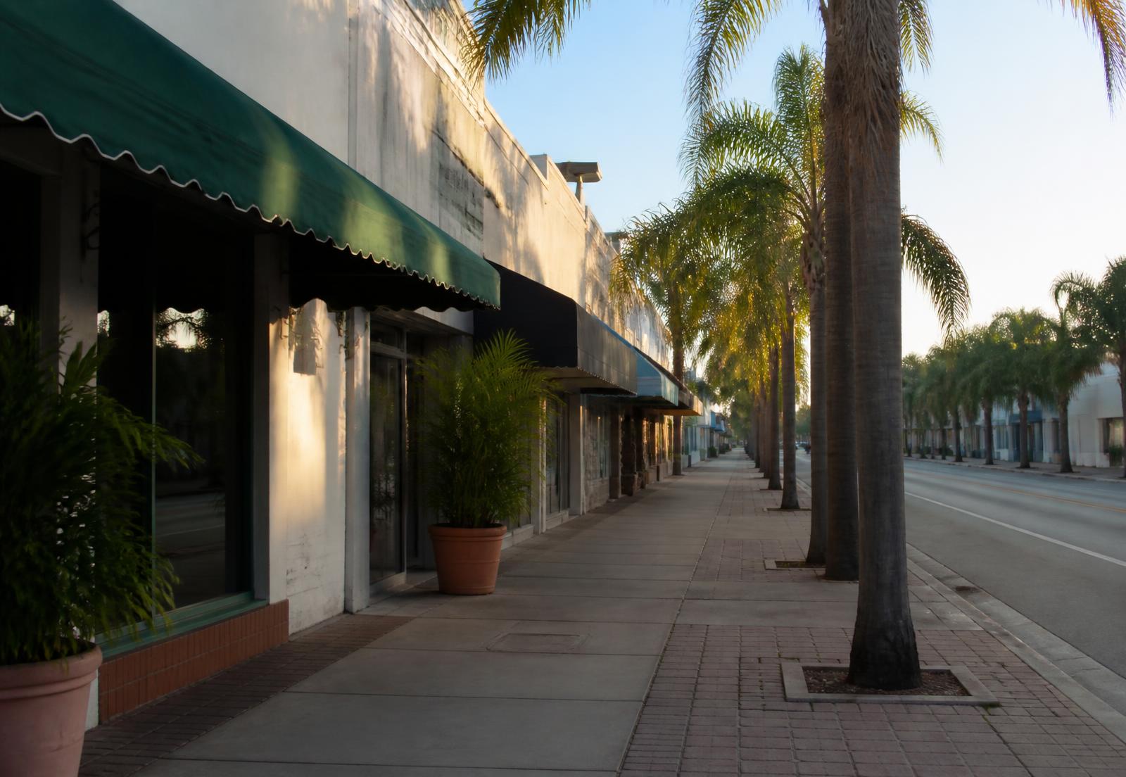 Palm-lined commercial street with small-business storefronts in Miami-Dade